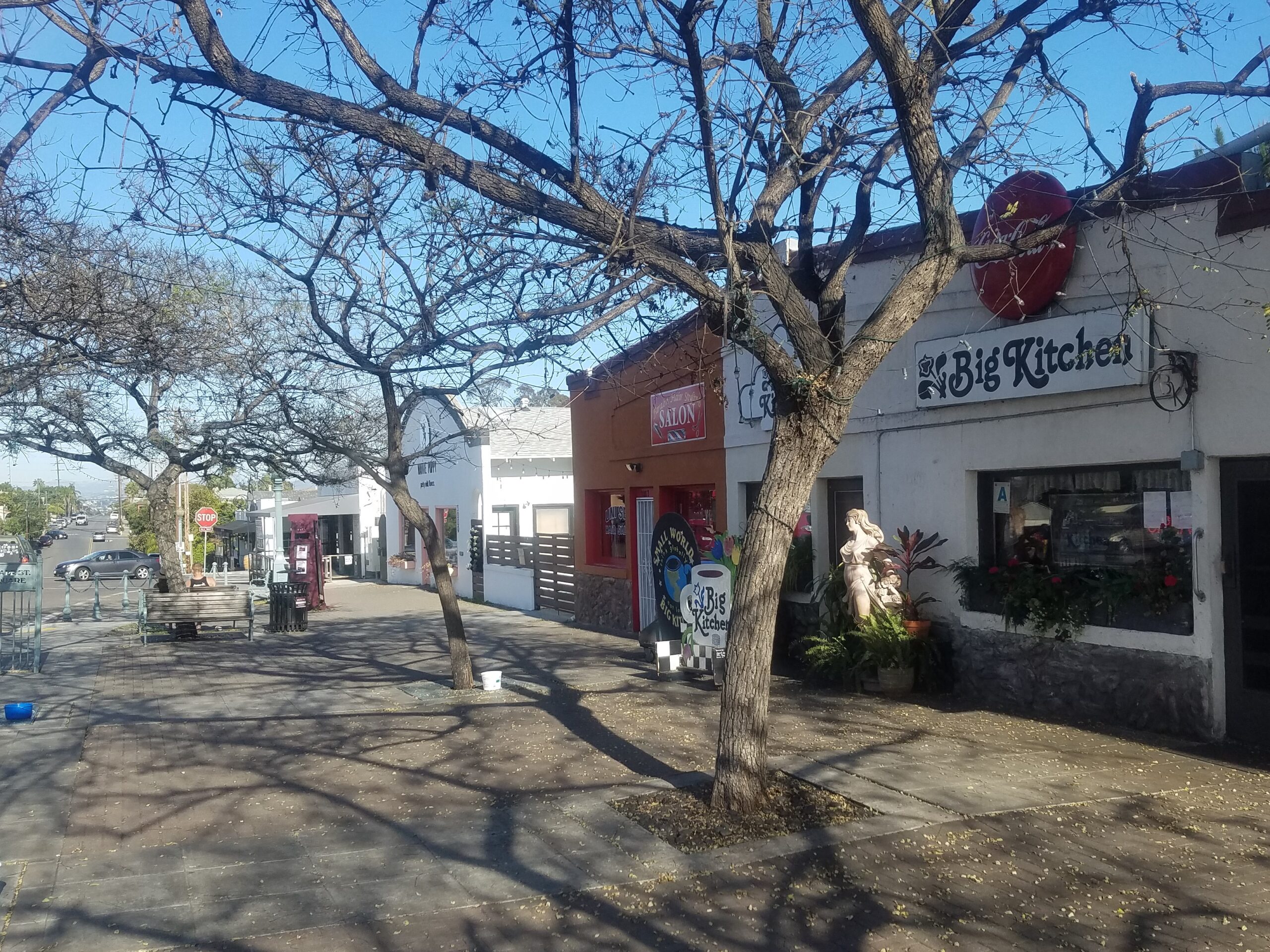 South Park Downtown Condo Guys