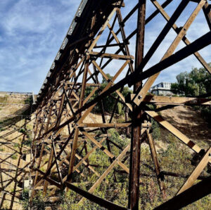 The underbelly of the Quince Street bridge from Maple Canyon (By Frank Sabatini Jr.)