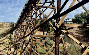 The underbelly of the Quince Street bridge from Maple Canyon (By Frank Sabatini Jr.)